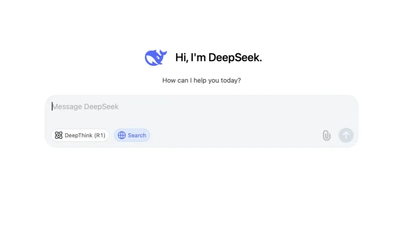 deep seek built up